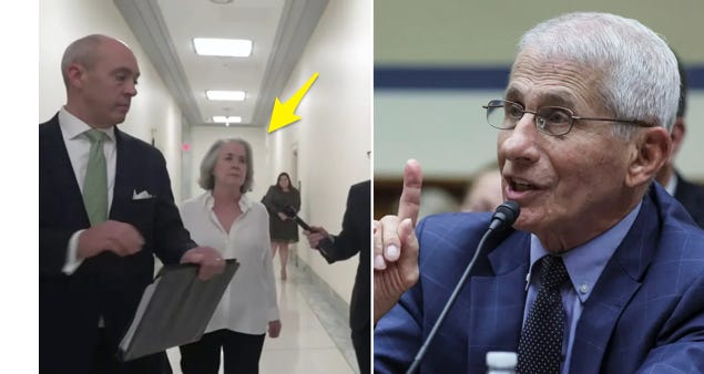 image 7.png image 7.png