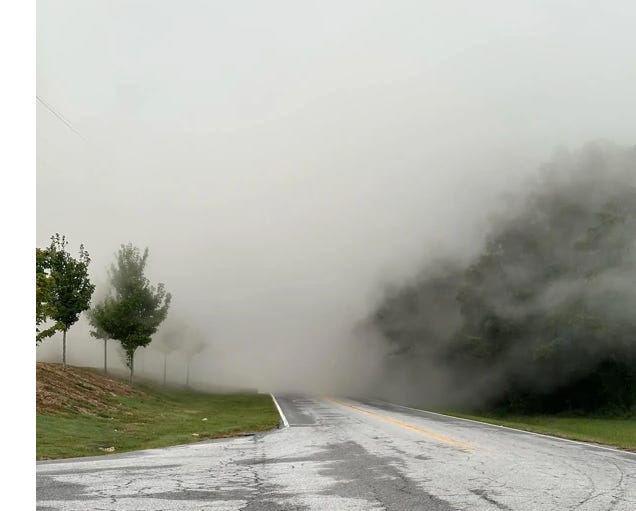 image 5.png image 5.png