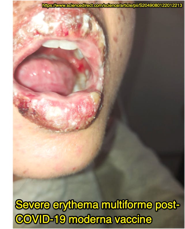 image 7.png image 7.png