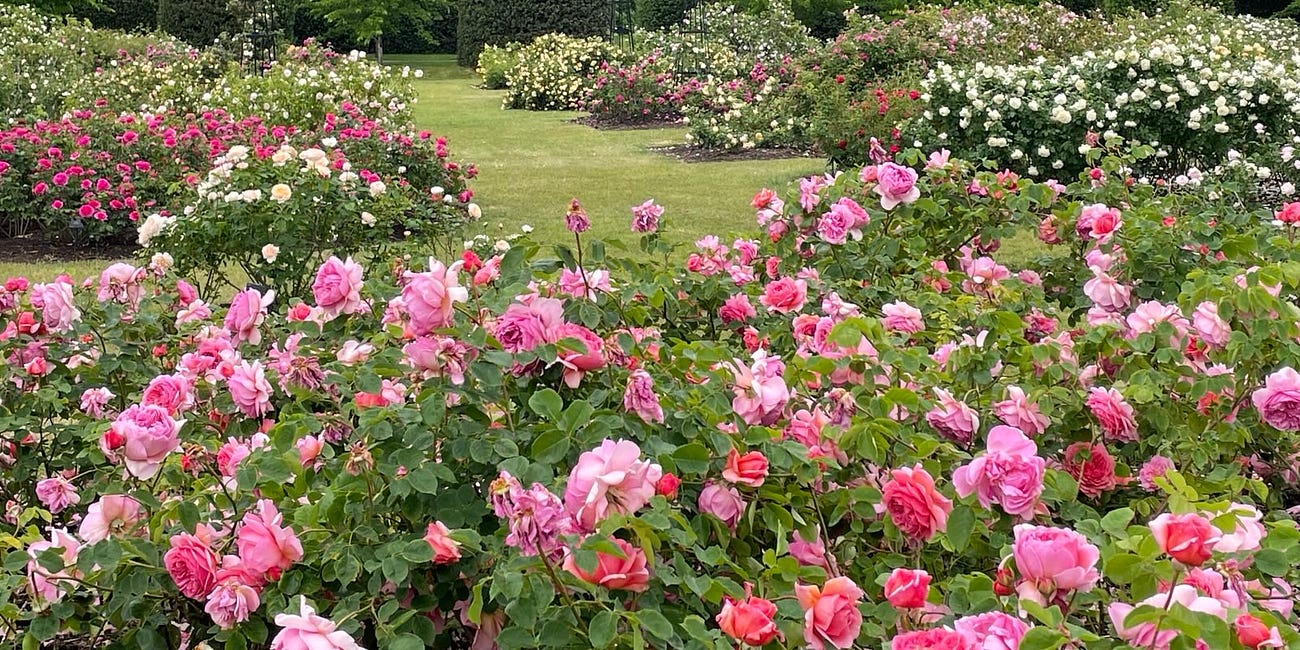 Reflections on travels