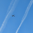 Οι «ψεκασμένοι»: Τα κρεμαστάρια των αλεπούδων