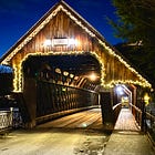 Politics Today Bulletin 26, 12/14-12/15/24