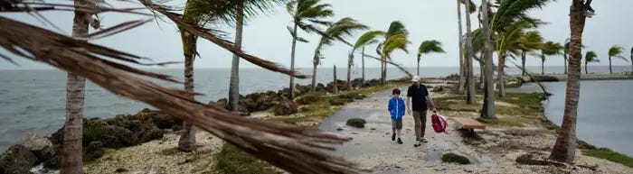 image 6.png image 6.png