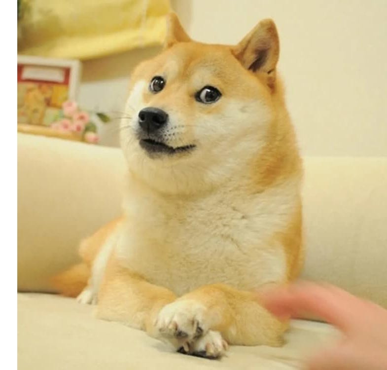 image 2.png image 2.png