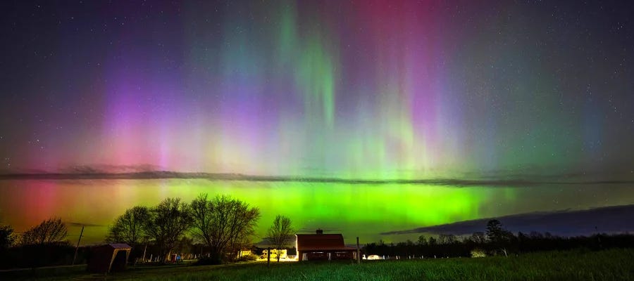 image 12.png image 12.png