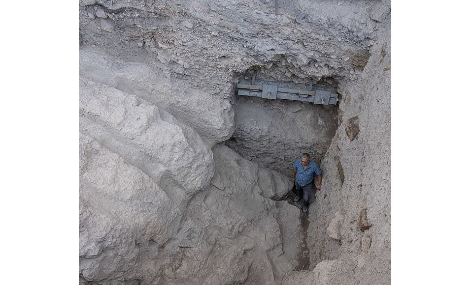 image 4.png image 4.png