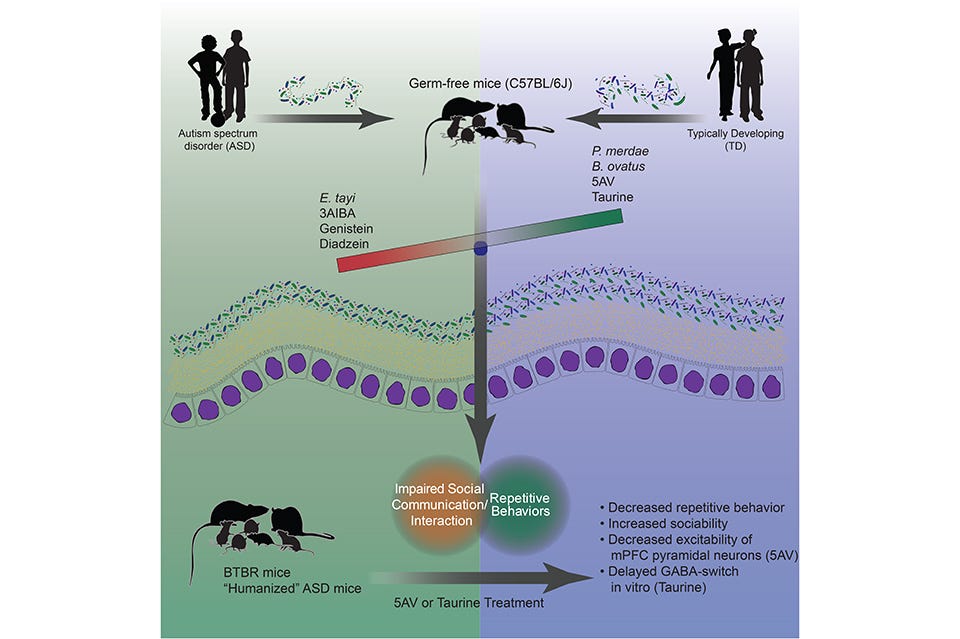 image 12.png image 12.png