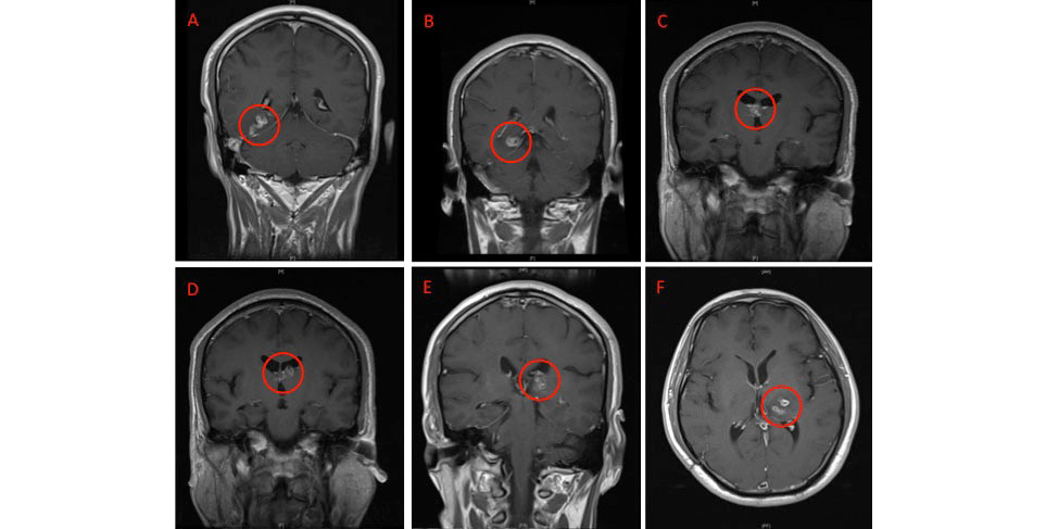 image 17.png image 17.png