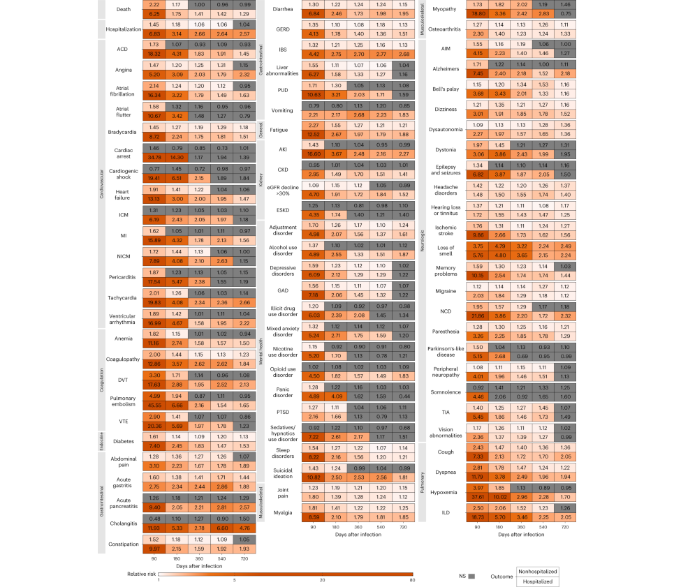 image 5.png image 5.png