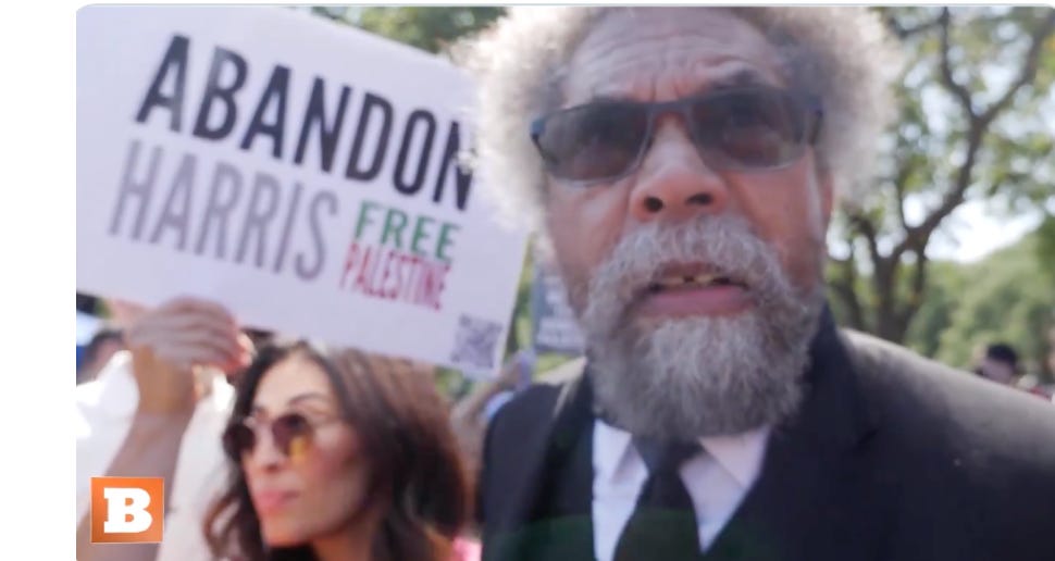 image 3.png image 3.png