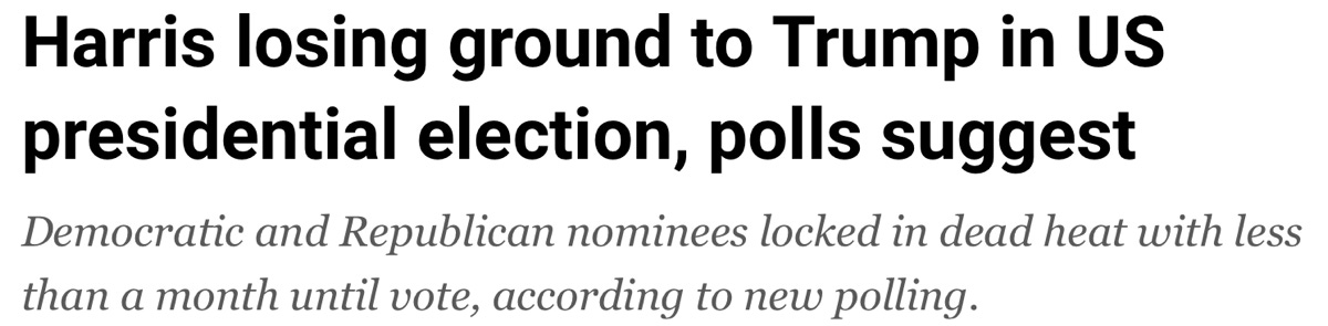 image 7.png image 7.png