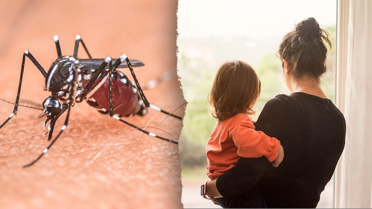 Mosquito lockdown Mosquito lockdown