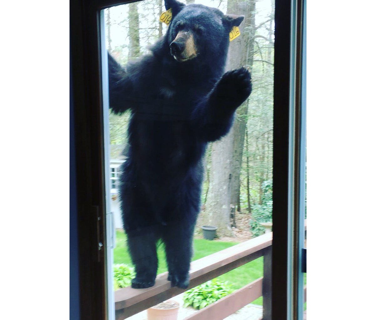 image 3.png image 3.png