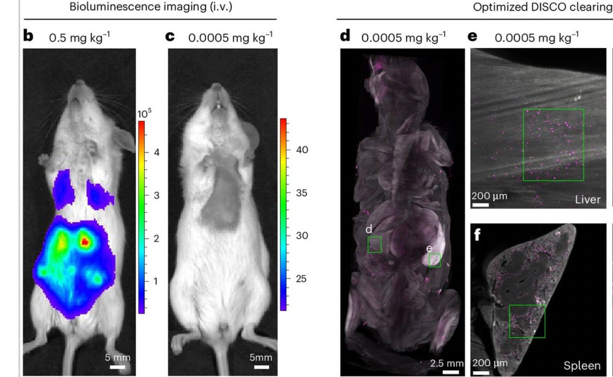 image 7.png image 7.png