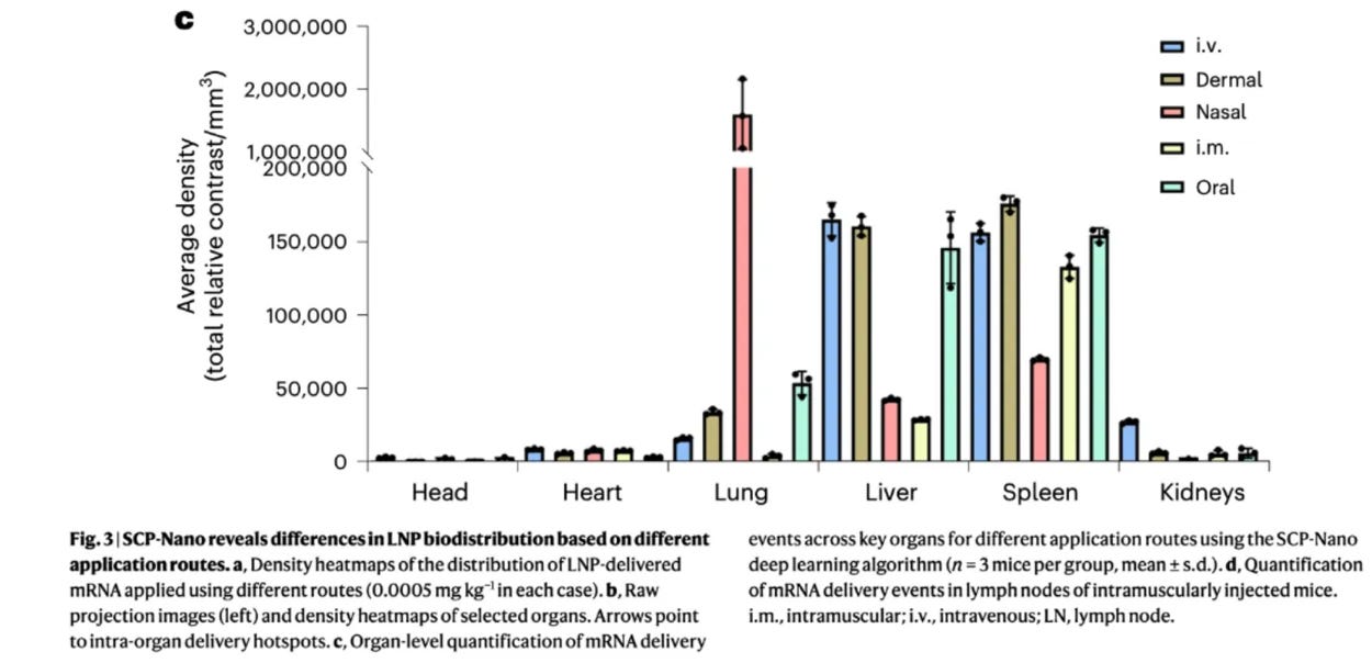 image 8.png image 8.png