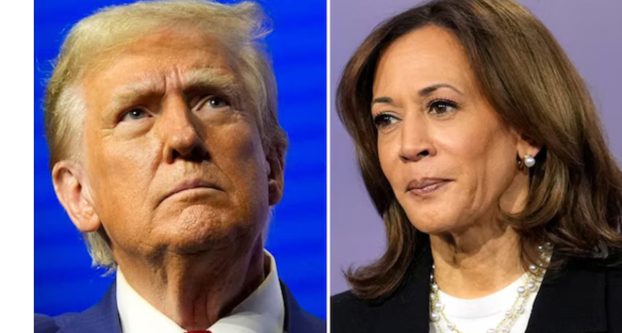 image 2.png image 2.png