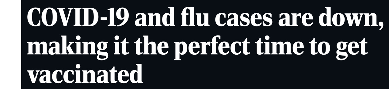 image 12.png image 12.png