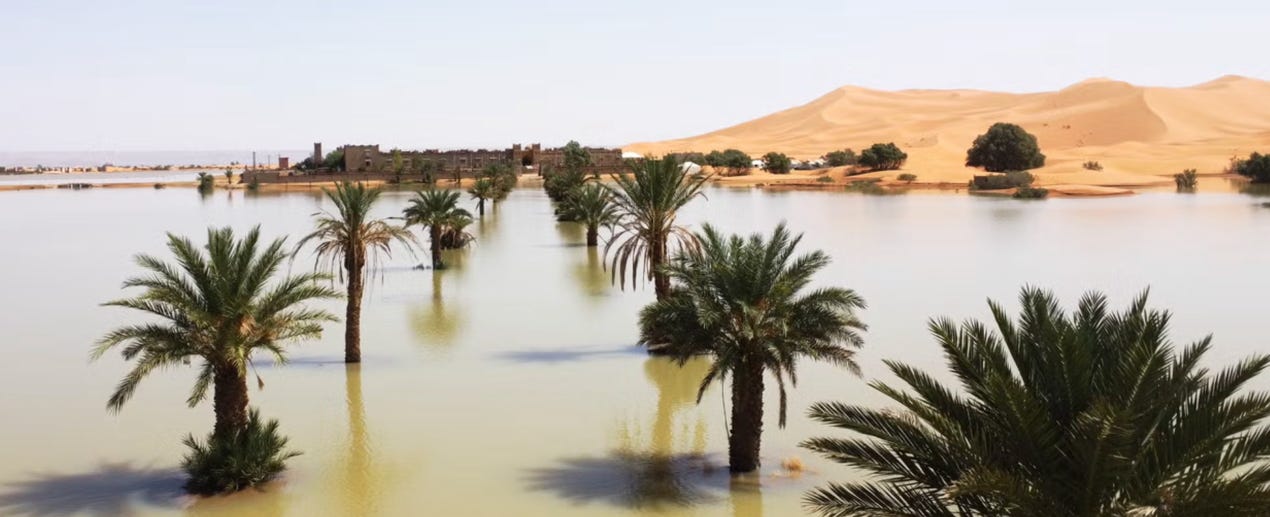 image 7.png image 7.png