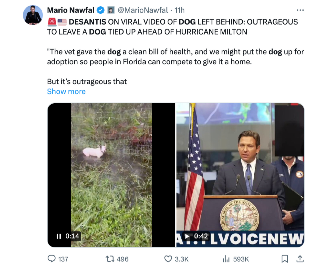 image 10.png image 10.png