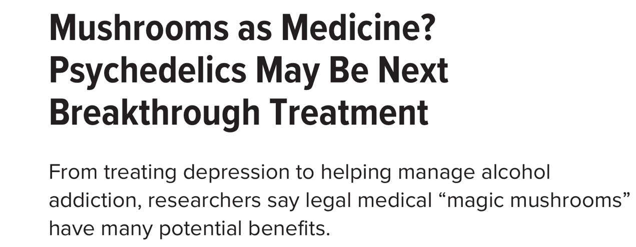 image 3.png image 3.png