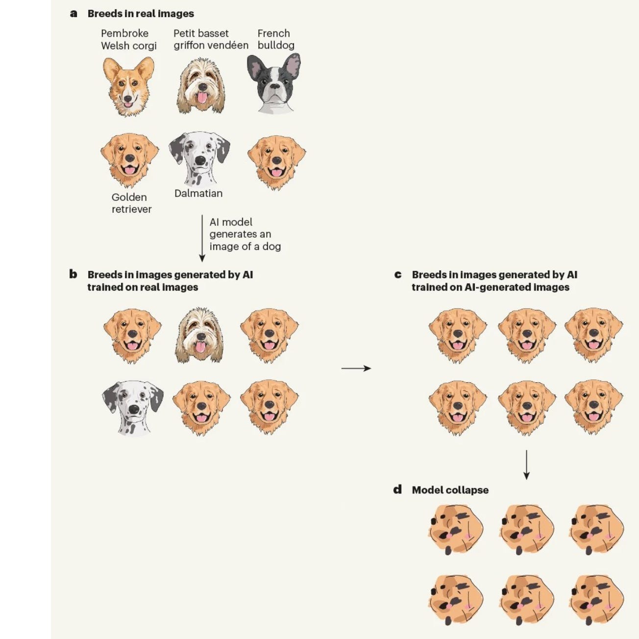 image 5.png image 5.png