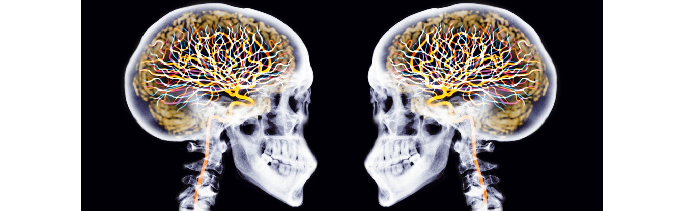 image 10.png image 10.png