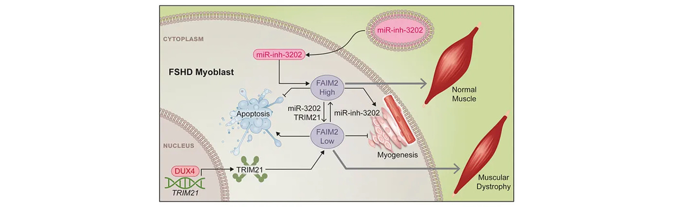 image 6.png image 6.png
