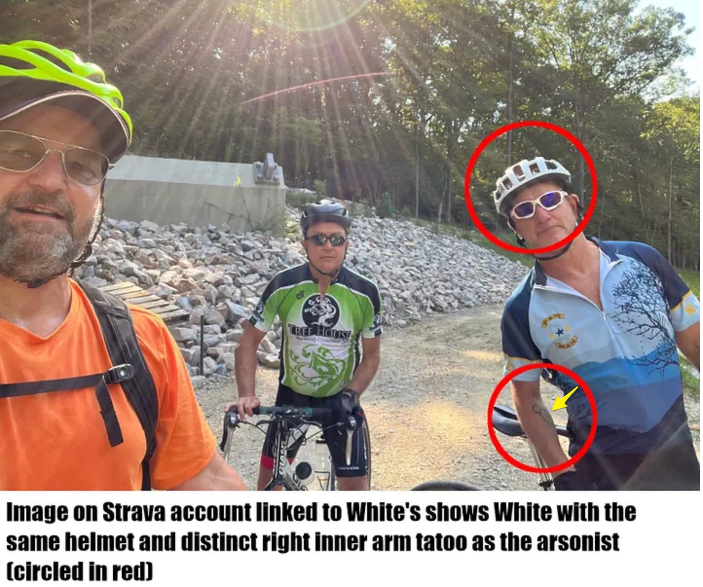 image 7.png image 7.png