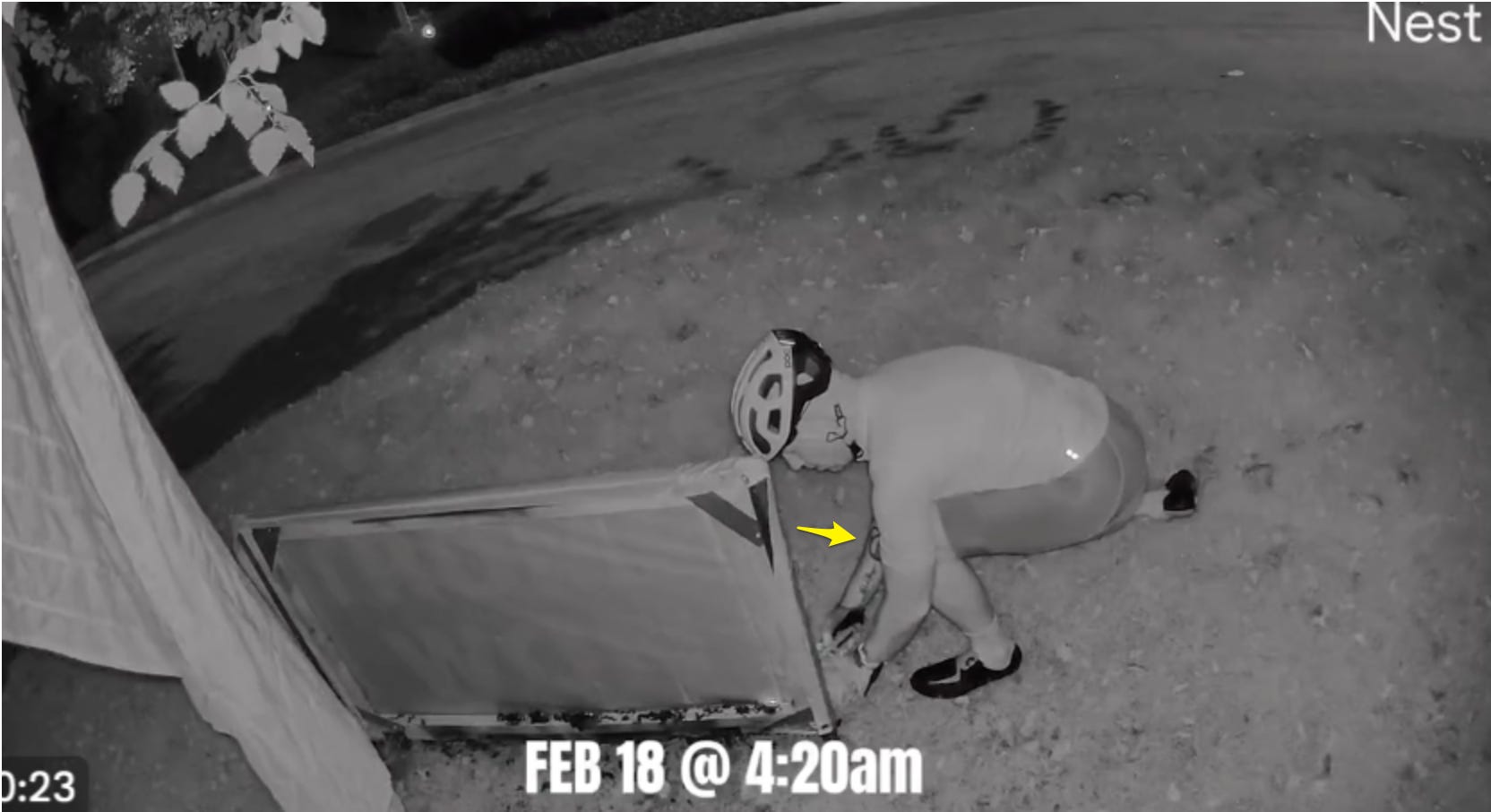 image 6.png image 6.png