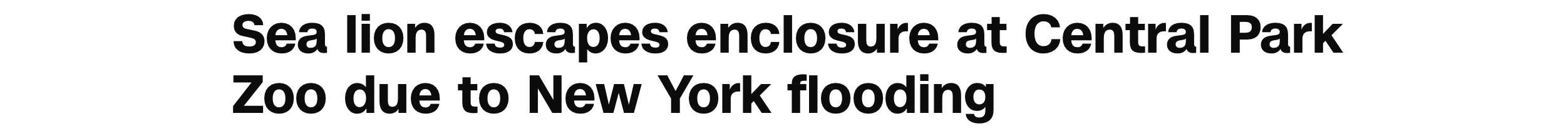 image 9.png image 9.png