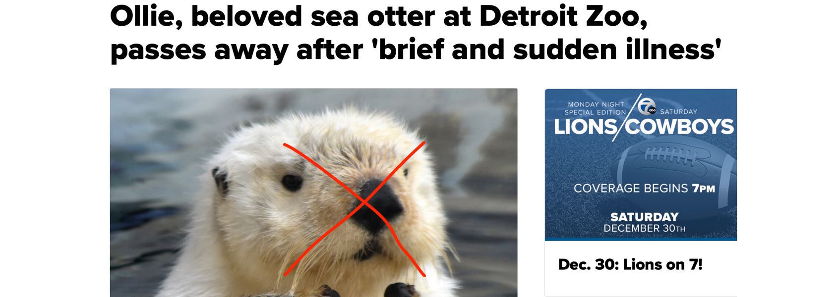 image 4.png image 4.png