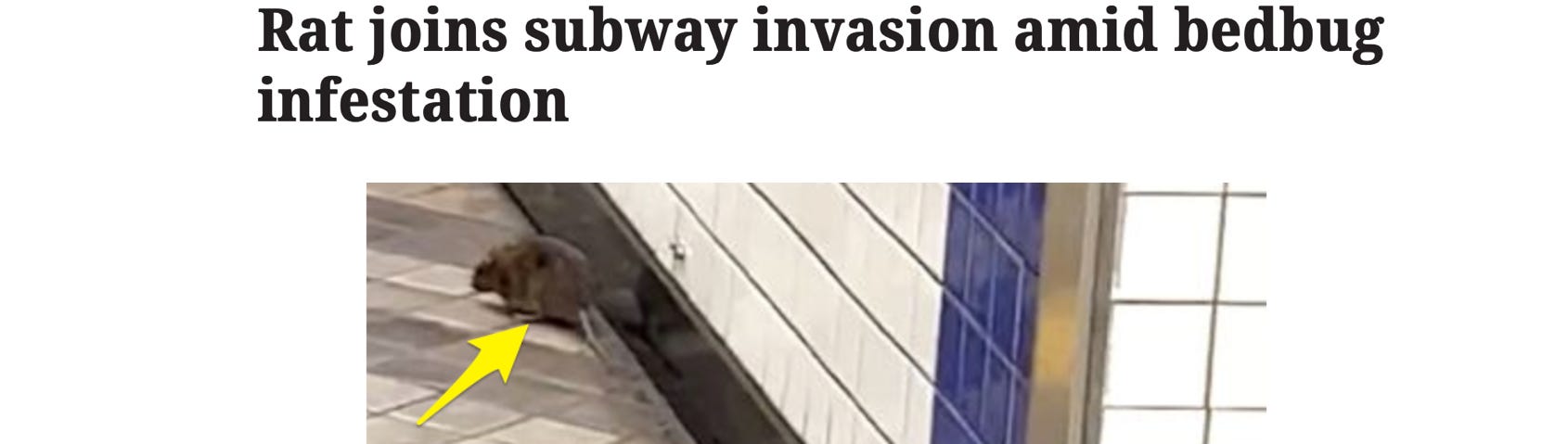 image 21.png image 21.png