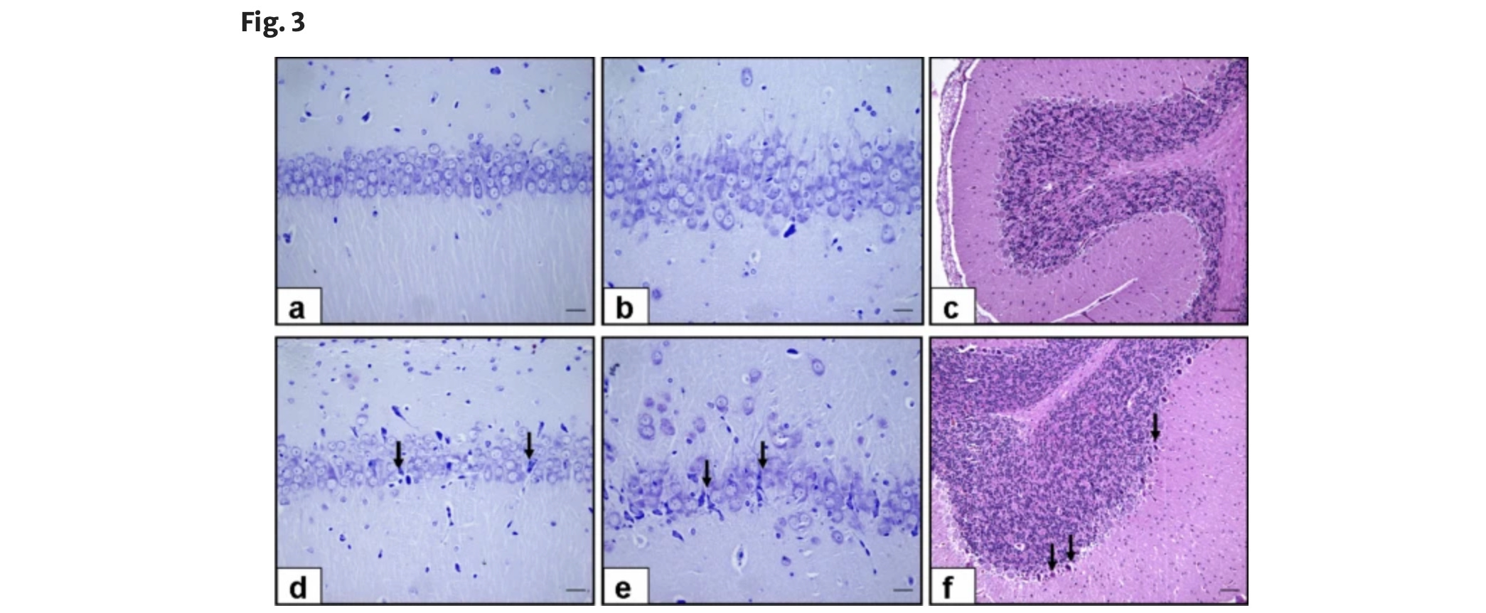 image 4.png image 4.png