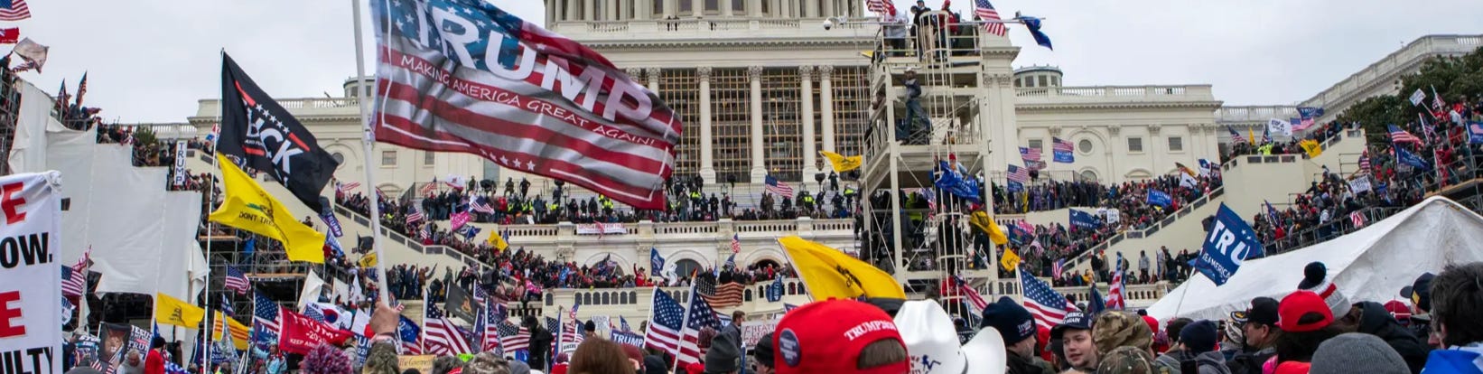 image 7.png image 7.png