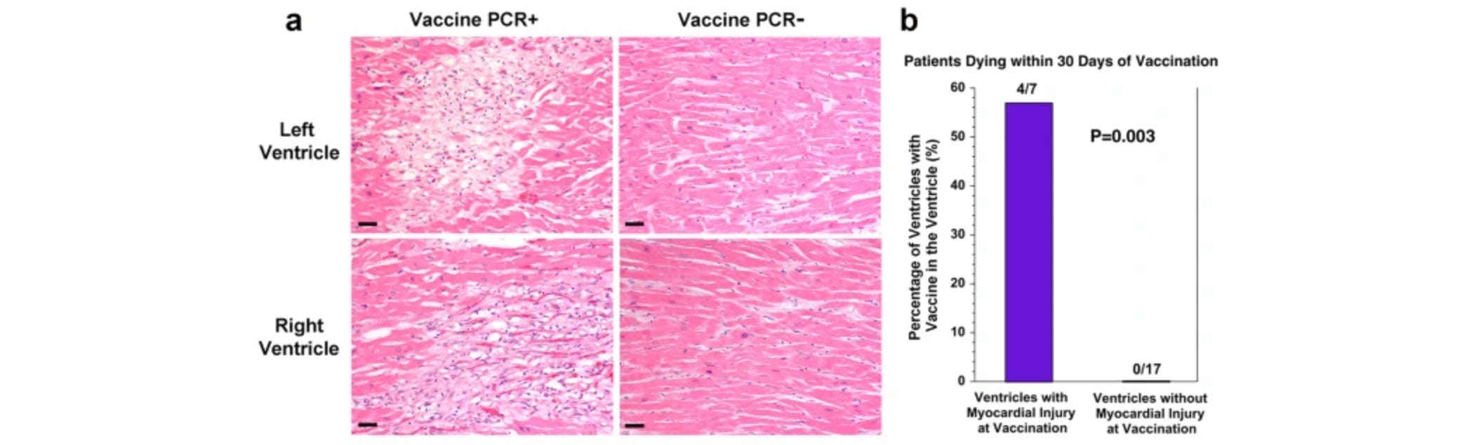 image 6.png image 6.png