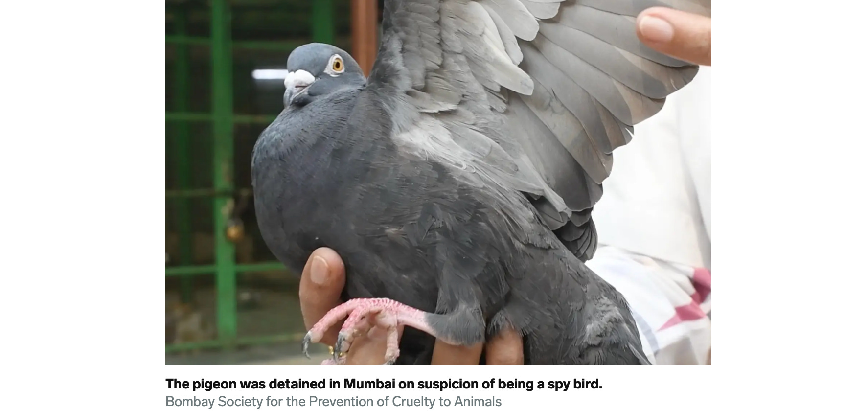 image 4.png image 4.png