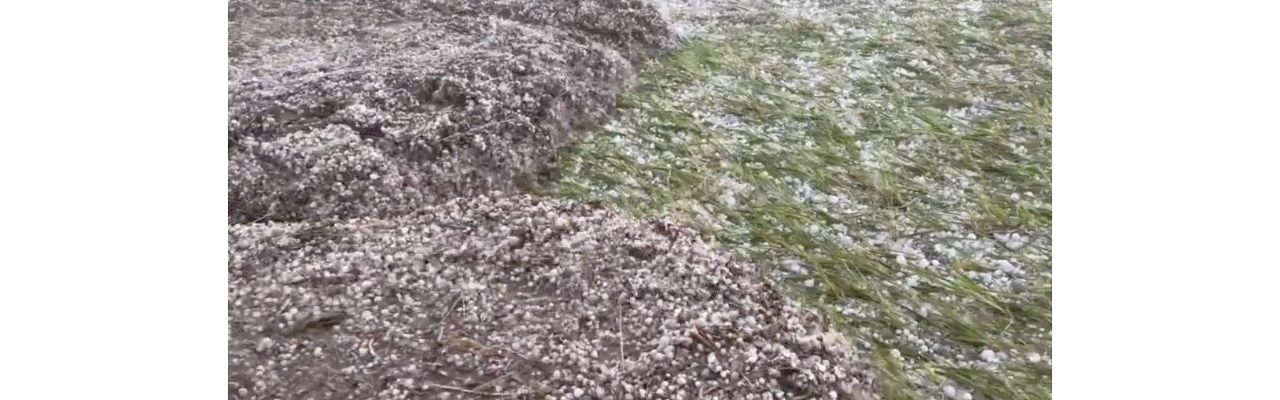 image 7.png image 7.png