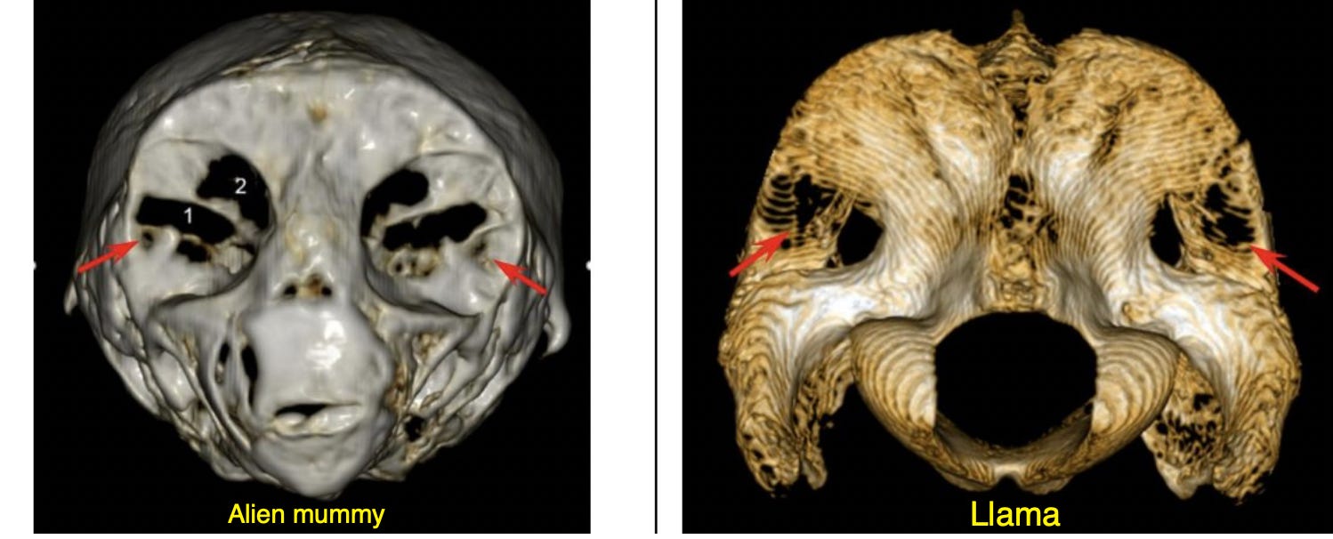 image 6.png image 6.png