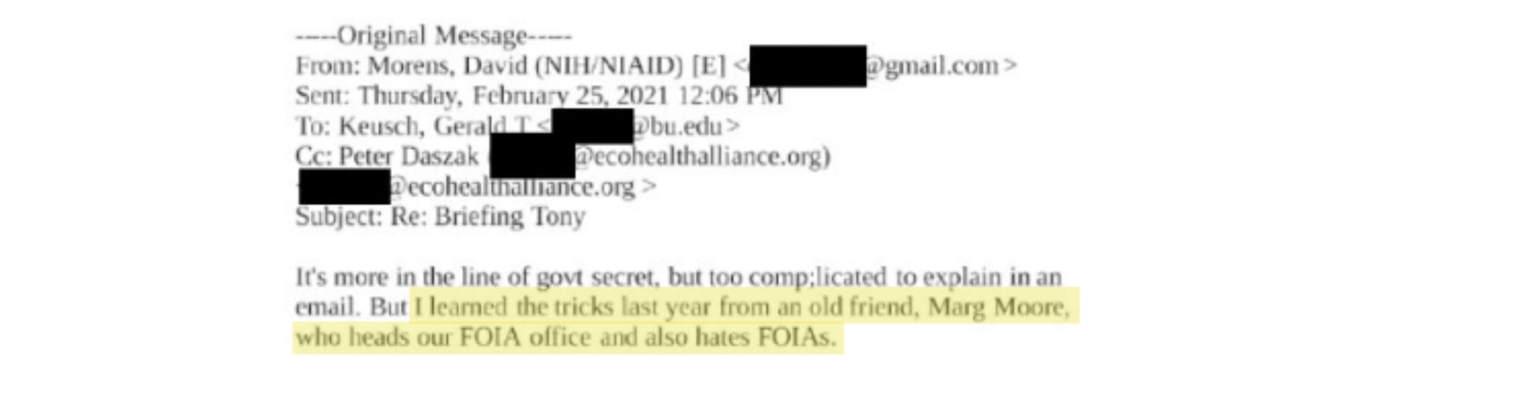 image 11.png image 11.png