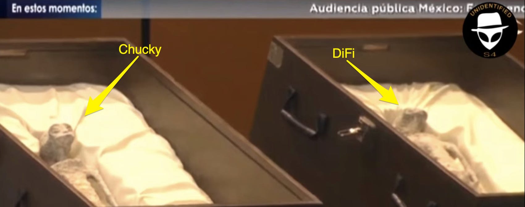 image 3.png image 3.png