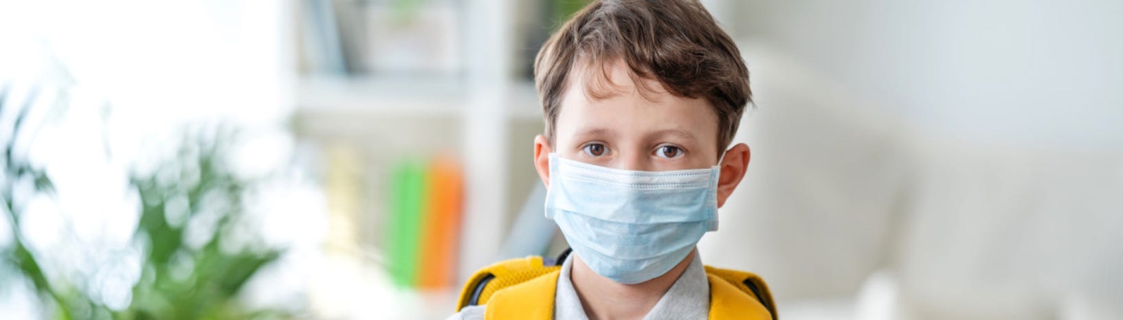 image 3.png image 3.png