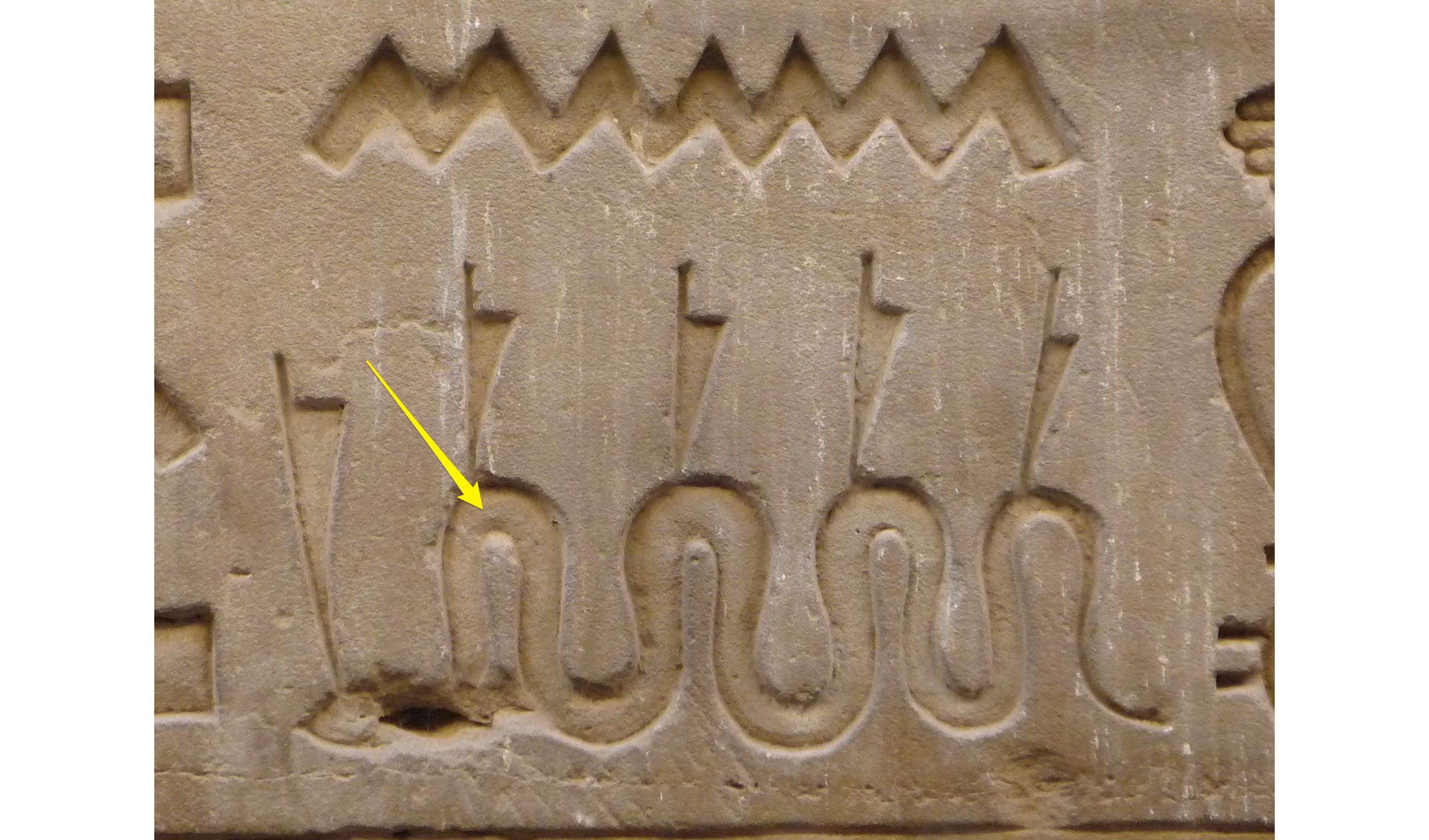 image 7.png image 7.png