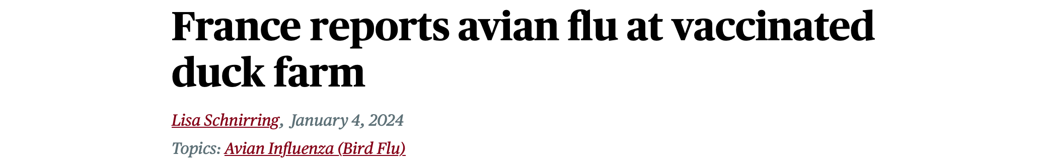 image 11.png image 11.png