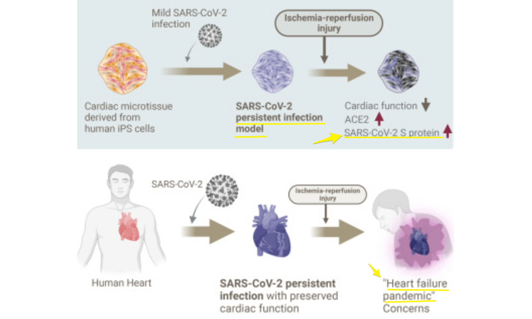 image 4.png image 4.png