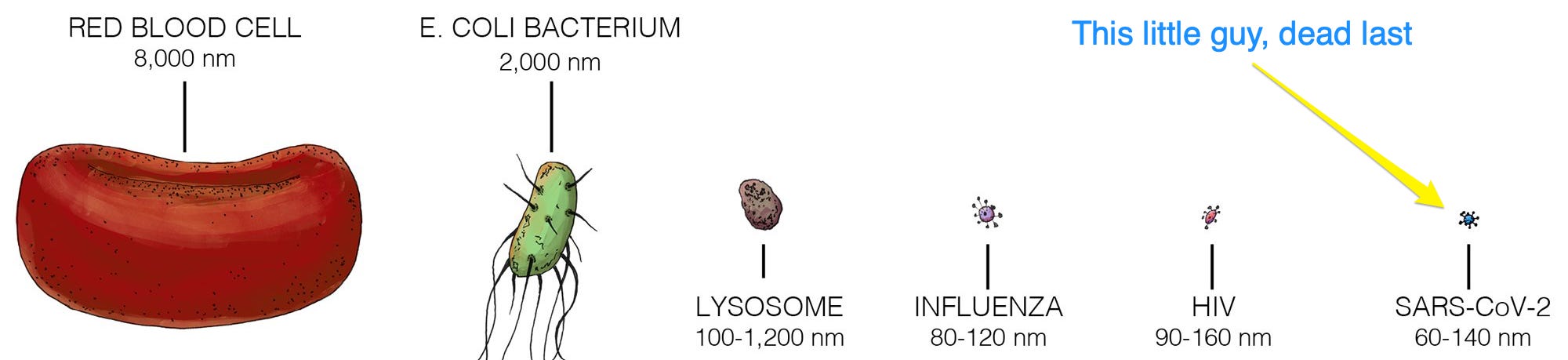 image 3.png image 3.png