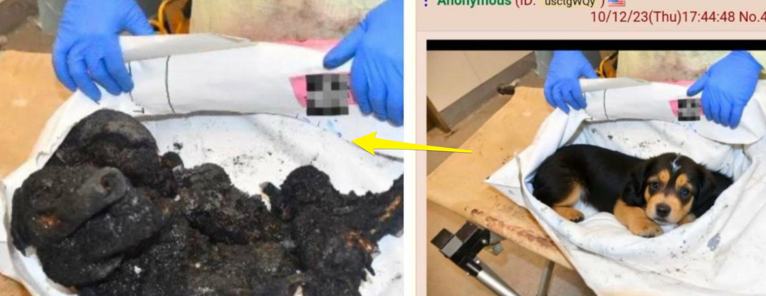 image 9.png image 9.png