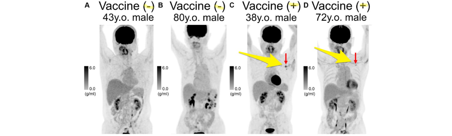 image 9.png image 9.png