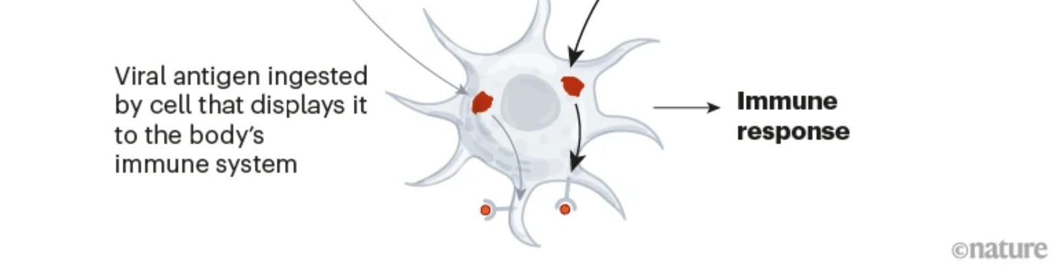 image 2.png image 2.png