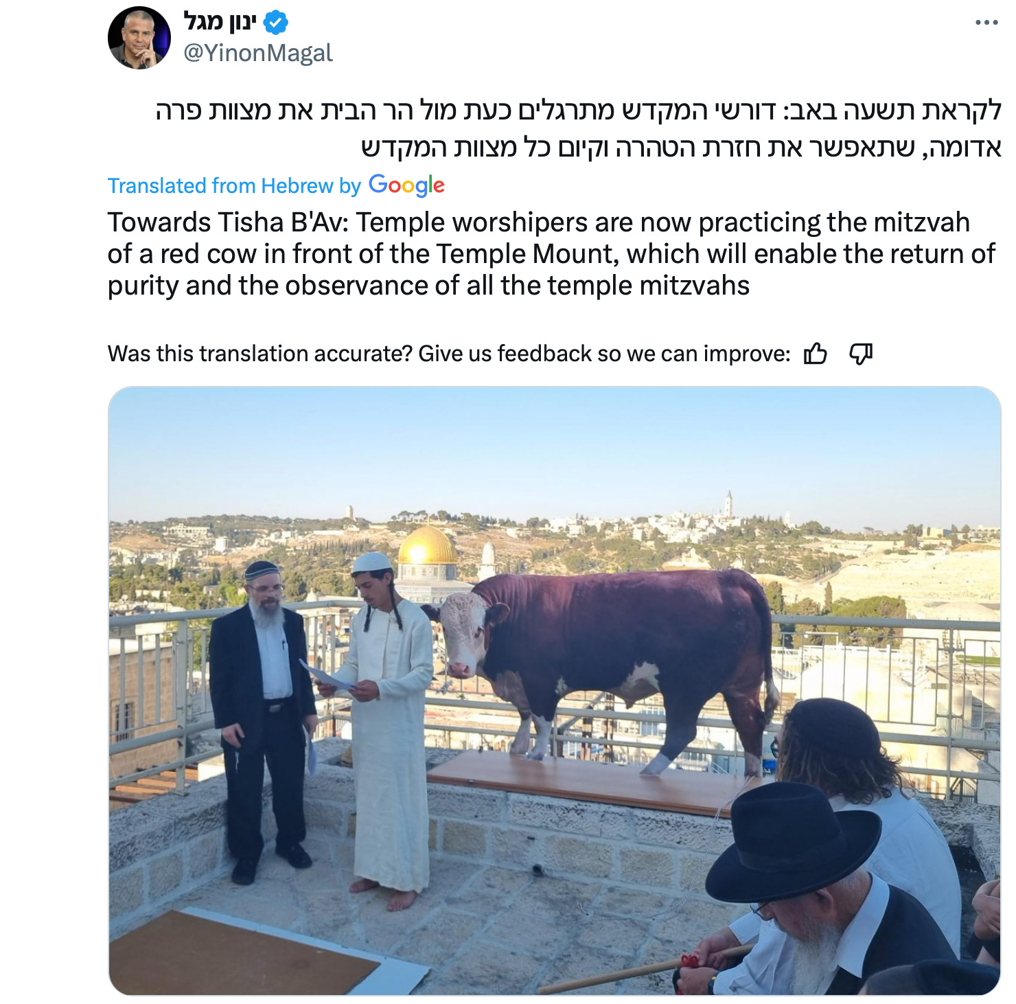 image 5.png image 5.png