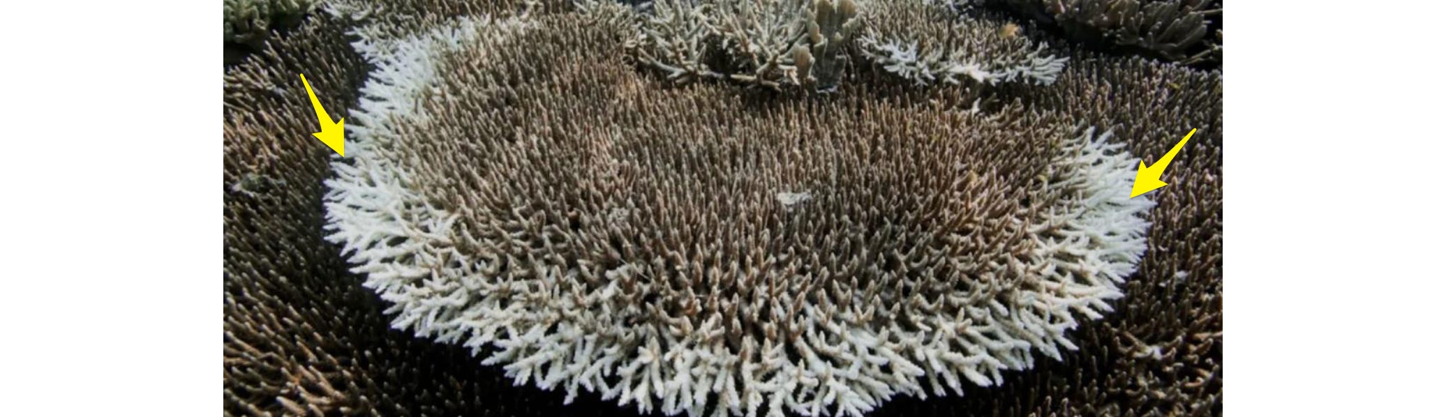 image 6.png image 6.png